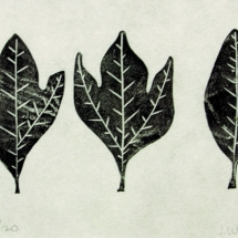 linocut print of three sassafrass leaves ginseng by artist Jenna Webb.