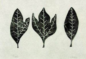 linocut print of three sassafrass leaves ginseng by artist Jenna Webb.