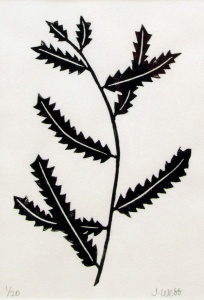 linocut print of a sweet fern plant by artist Jenna Webb.