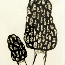 linocut print of the elusive morel mushroom by artist Jenna Webb.