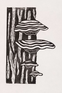 linocut print of a striped turkey tail mushroom by artist Jenna Webb.