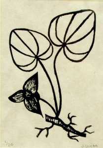 linocut print of a wild ginger plant by artist Jenna Webb.
