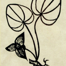 linocut print of a wild ginger plant by artist Jenna Webb.