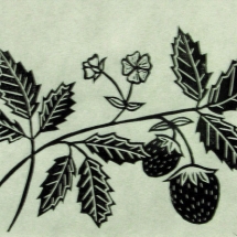 linocut print of wild strawberries by artist Jenna Webb.