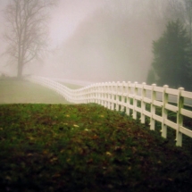 white picket fence retreating into the mist photographed in color by photographer Robert Webb.