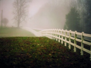 white picket fence retreating into the mist photographed in color by photographer Robert Webb.