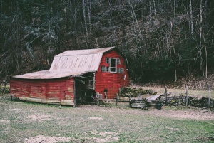 old red barn photographed in color by photographer Robert Webb.