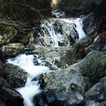 Appalachian stream photographed in color by photographer Robert Webb.