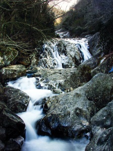 Appalachian stream photographed in color by photographer Robert Webb.