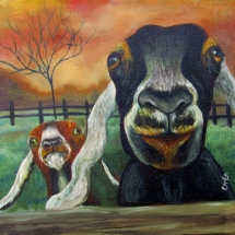 two goats staring at the viewer painted in oil by artist Stacey Pilkington-Smith.