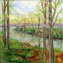 1 Darlene Godfrey, Moss Lake, acrylic