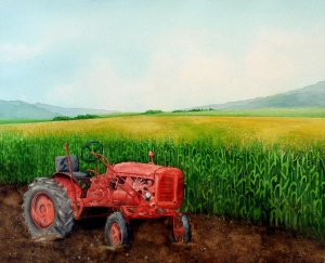 11 Shelby Sabelli, Carolina Piedmont, watercolor
