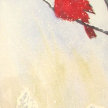 13 Shelby Sabelli, Winter Cardinal, watercolor