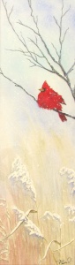 13 Shelby Sabelli, Winter Cardinal, watercolor