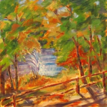 14 Rosie Little, Kings Mountain State Park II, oil