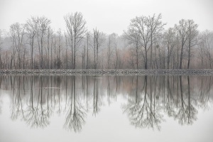 17 Ellen Devenny, Solitude, photography