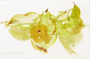 19 Kathy Bailey Cheshire, Liquid Pears, watercolor