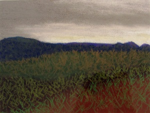 25 Gene Toennison, Early Light, pastel