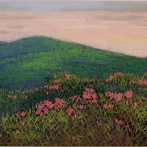 26 Gene Toennison, Mountain Flowers, pastel