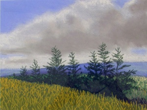 27 Gene Toennison, Mountain Pines, pastel