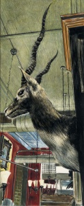 34 Lori McAdams, Antelope, scratchboard, color inks