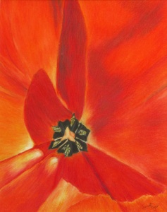 36 Janet Dyer, Joy, colored pencil