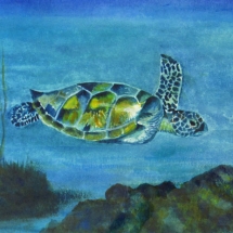 41 Ron Shepard, Swimming Free, watercolor