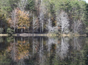 45 Patricia Pietersen, Reflected, photography
