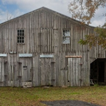 50 Lynne Parker, Cypress Pack House, photography