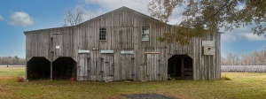 50 Lynne Parker, Cypress Pack House, photography