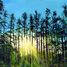 9 Dr. Brad Sabelli, Carolina Sunrise, oil