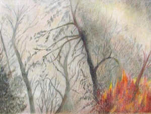 40 colored pencil of a small wildfire among trees.