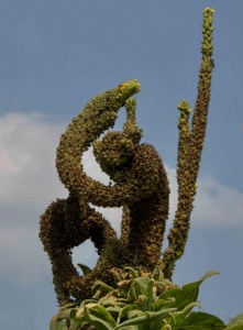 42 southwestern tree in a a monkeyesque shape.