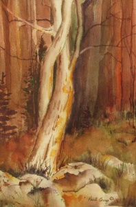 54 watercolor of clearing among red and brown trees.