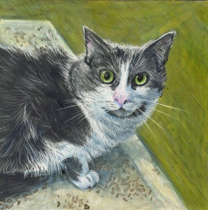 64 color scratchboard of a gray and white green-eyed cat staring at you.