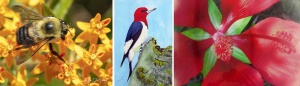 artwork in Nature Reconsidered and Trail exhibit at Southern Arts Society.