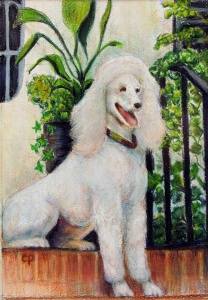 Carolyn Parrish – Chauncy – colored pencil