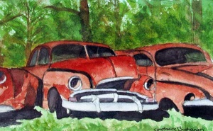 Three rusty vintage cars permanently parked under shade tress.