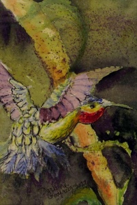 Colorful bird flying against green background.