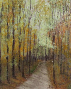 Wooded path through woods in the fall.