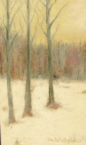 Snowy woods of trees without leaves under a golden gray sky.
