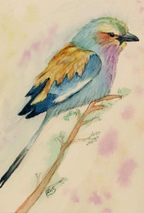 Delicate multi colored bird against a soft pastel background of yellow and magenta.