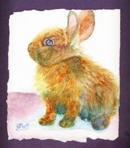 Fluffy baby rabbits with a purple jagged frame.