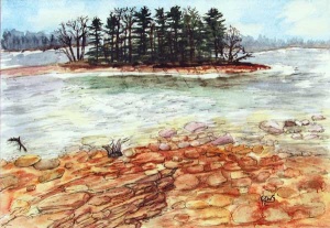 Pebble strewn lake shore overlooking a small island of pine trees.