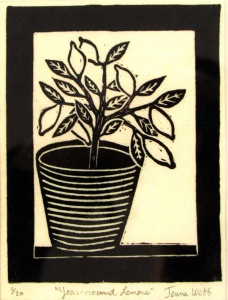 Potted lemon tree.