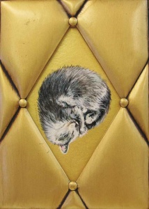 Sleeping cat curled up in a diamond