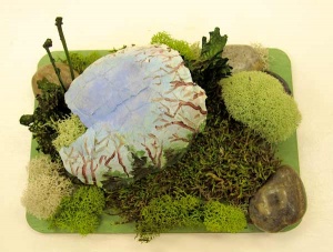 Moss and twig sculpture with whitened turtle shell.