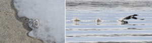 photography of Alex Pietersen