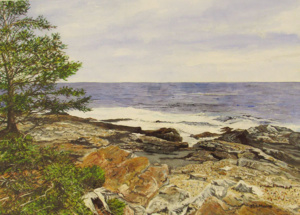 A lone tree on a cliffside looking out onto the ocean and rocks.