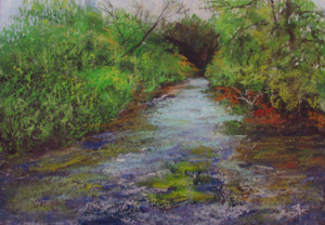 A creek flowing along a well-grown green hillside with bushes and a tree.